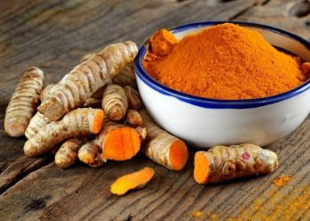 a brief summary of supplements that include turmeric