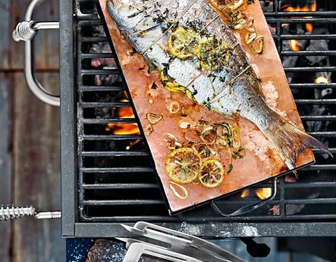 Himalayan salt cooking blocks