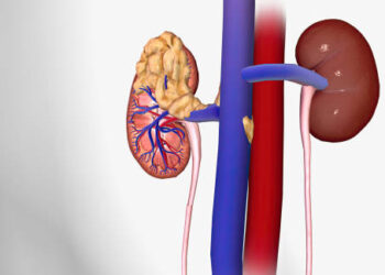 Signs and symptoms of prostate adenoma: what to look out for