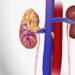 Signs and symptoms of prostate adenoma: what to look out for