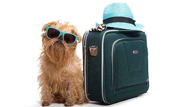 Applying with Ease: Securing Your Indian Visa Online