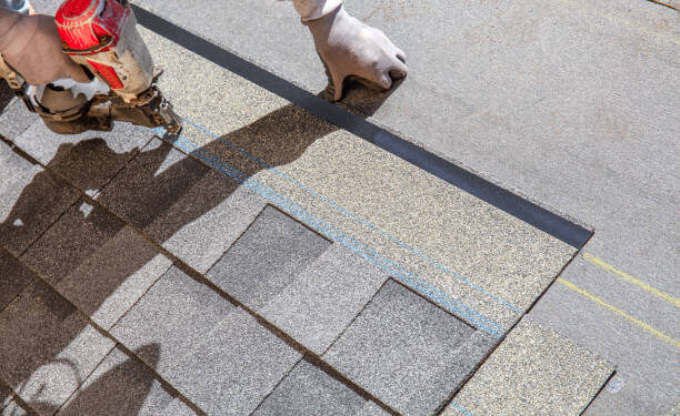 Roof Repairs Pensacola FL – What You Need to Know