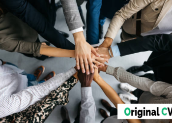 How to Write a CV for a Graduate Position