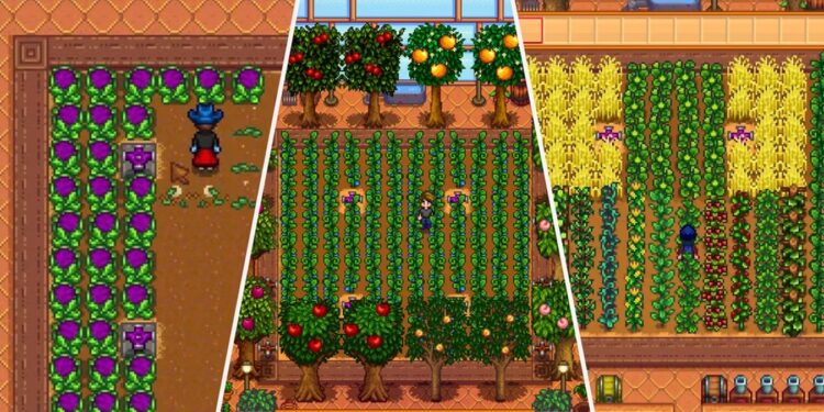 10-best-crops-to-grow-in-your-greenhouse-in-stardew-valley