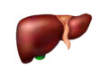 7 Innovative Techniques and Technologies for Liver Transplant Surgery