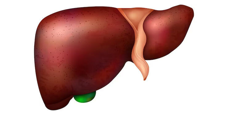 7 Innovative Techniques and Technologies for Liver Transplant Surgery