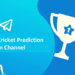 Top 10 cricket prediction telegram channel