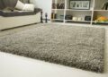 Carpet or rug