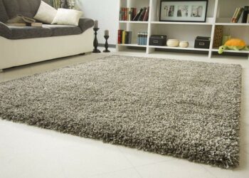 Carpet or rug