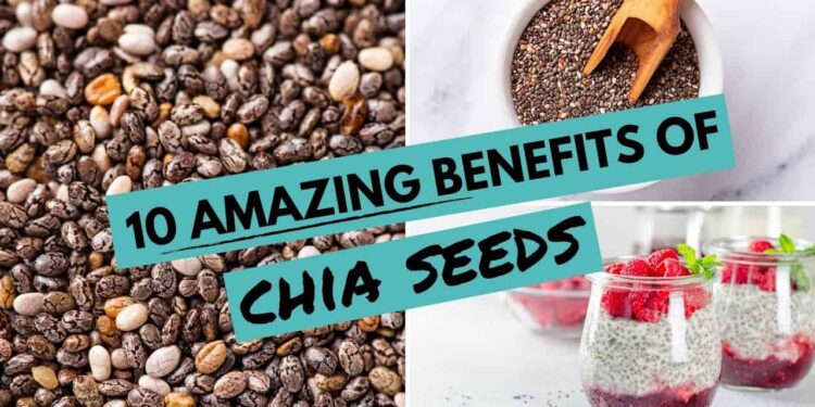 Chia Seed