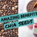 Chia Seed