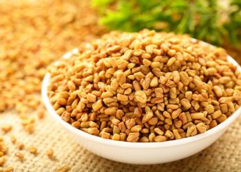 Fenugreek seeds