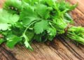Health Benefits Of Coriander