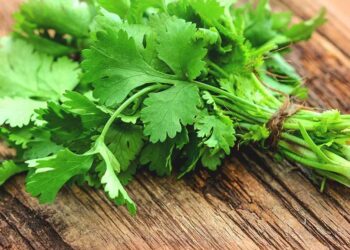 Health Benefits Of Coriander
