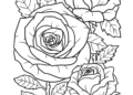 Best Printable Rose Coloring Pages