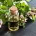 What Is Oregano Oil? | Top Oregano Oil Benefits