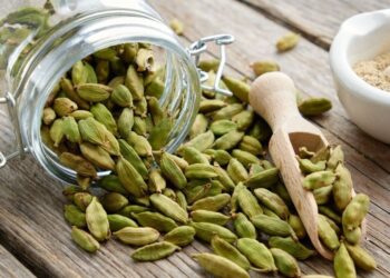 How Does Cardamom Improve Men's Wellbeing