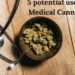 Medical Marijuana