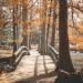 Exploring Canada visas from Liechtenstein and Luxembourg