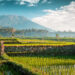 Unveiling the Enchanting Bali Hidden Gems and North Bali Hidden Gems
