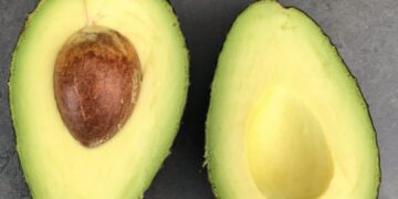 Avocado
