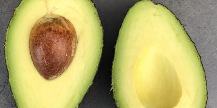 Avocado