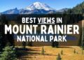 Best fun things in Mount Rainier with family