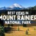 Best fun things in Mount Rainier with family