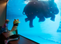 Discover-the-Magic-of-Dubai-with-an-Underwater-Hotel-Stay-825x510