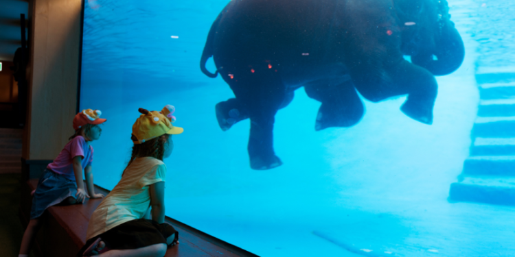 Discover-the-Magic-of-Dubai-with-an-Underwater-Hotel-Stay-825x510