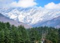 Romantic honeymoon in Kullu Manali from Kolkata