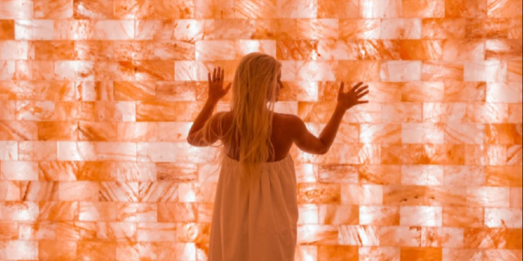 Himalayan-Salt-Bricks