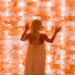 Himalayan-Salt-Bricks