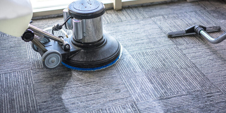 Pet Odor Removal