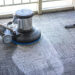 Pet Odor Removal