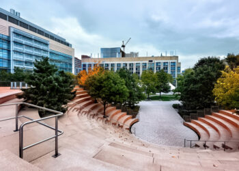 primary school in Punggol, international school fees