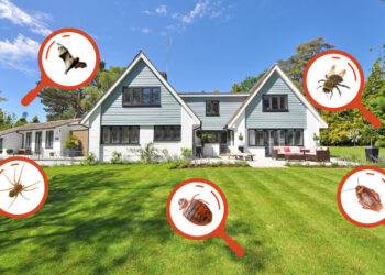 residential pest control