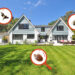 residential pest control