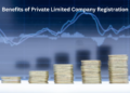 Benefits of Private Limited Company Registration