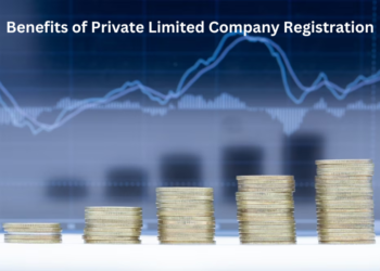 Benefits of Private Limited Company Registration