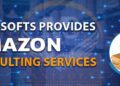 Boosting Ecommerce Success The Role of an Amazon