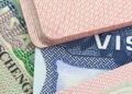 Egypt Visa for Brazilian