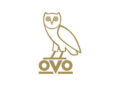 OVO Owl