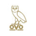 OVO Owl
