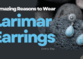 Larimar Earrings