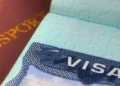 Indian Visa Process For Danish And Polish Citizens – Step-By-Step E-Visa Application