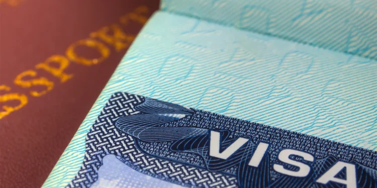 Indian Visa Process For Danish And Polish Citizens – Step-By-Step E-Visa Application