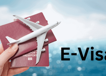 Turkey Visa For Australians & Vietnam Visa Application Overview