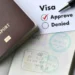 Indian E-Visa