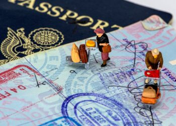 Apply For Indian Visa From Gabon And Gambia – Full E-Visa Application Process